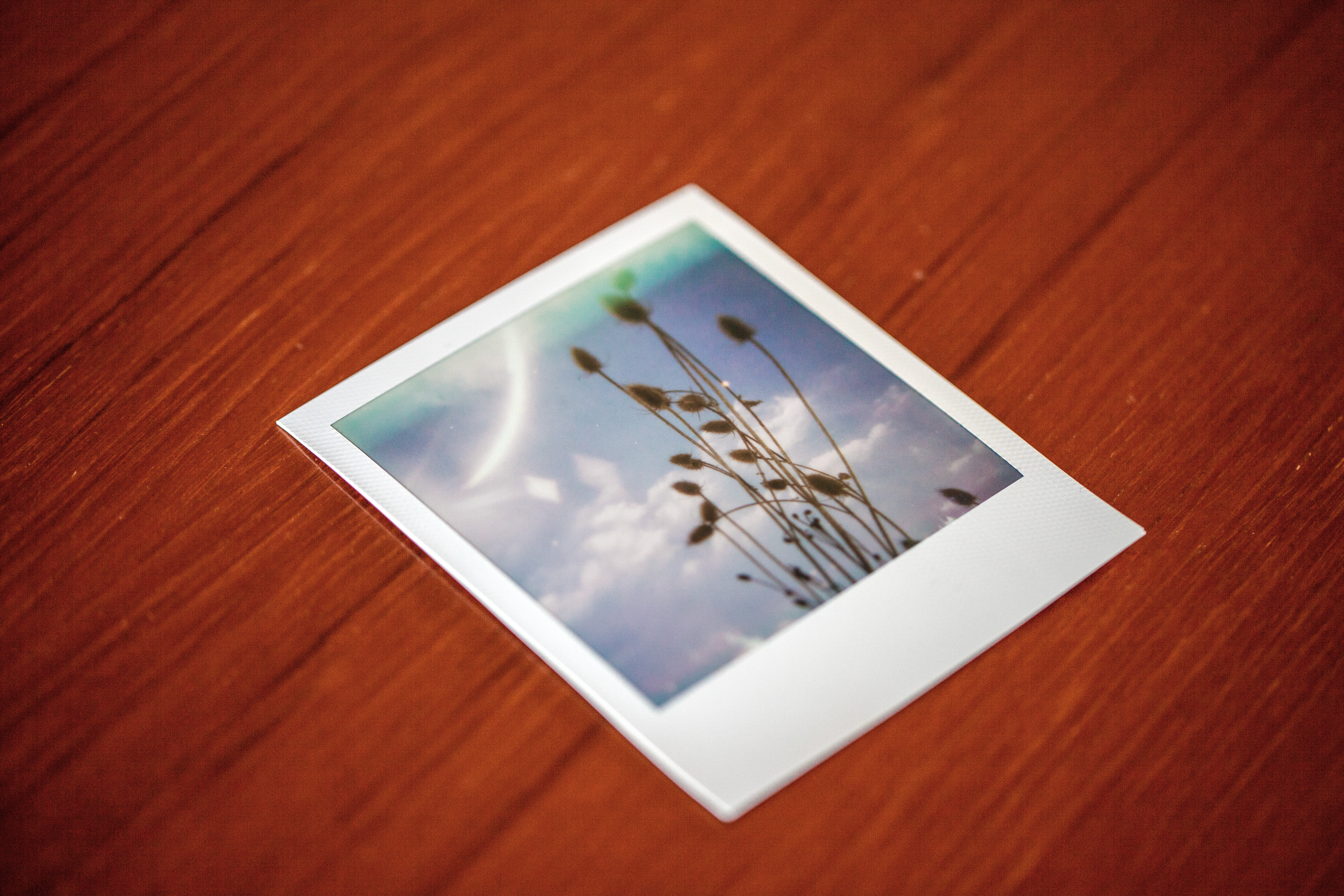 Wintertime with Polaroid